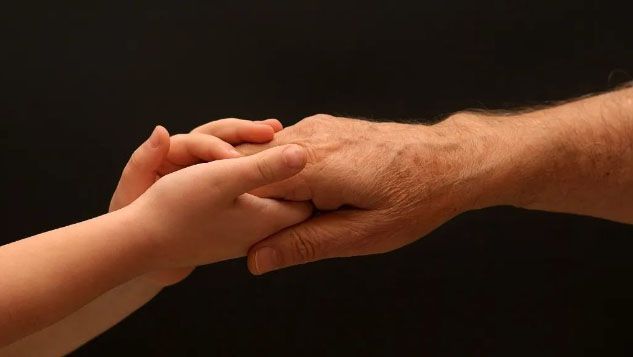 1693186330137310.jpg image.jpg